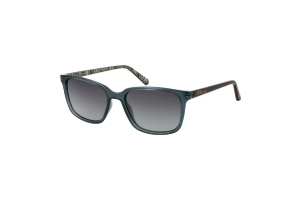 Ted Baker TB1529 — Sunglasses Square