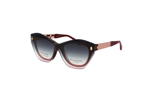 Ana Hickmann AH6581G — Eyeglasses Cat-Eye with Sunglass Clip