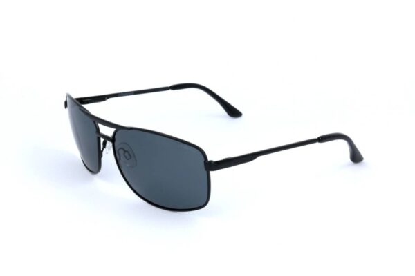 Polaroid PLD 2017/S — Sunglasses