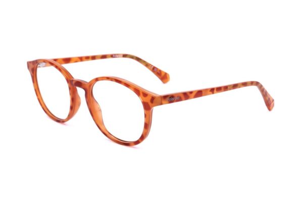 Polaroid PLD D498 — Eyeglasses