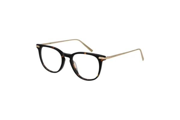 Funky Buddha FBD1065 — Eyeglasses Rectangular