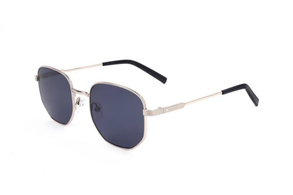 Polaroid PLD 2081/S/X — Sunglasses Rectangular