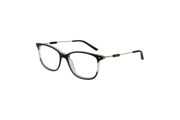 Ana Hickmann HIY6010T — Eyeglasses Oval