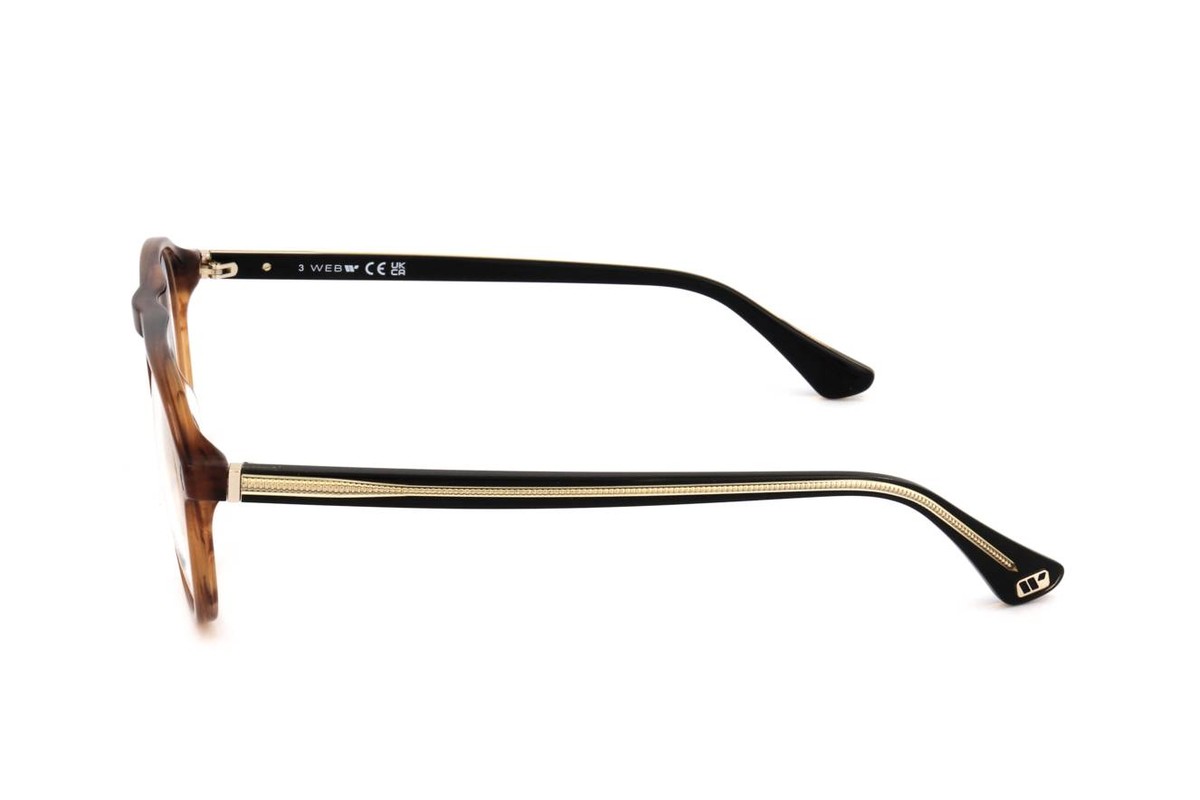 Web Eyewear WE5429 — Eyeglasses - Image 3