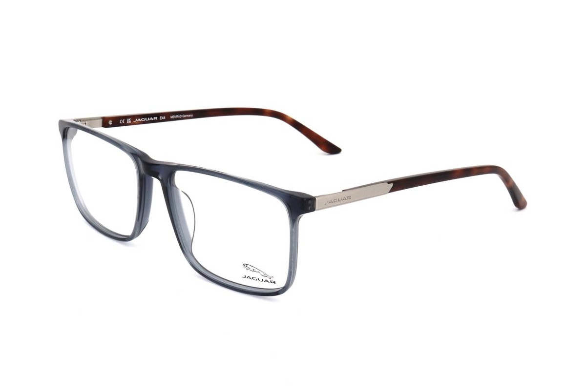 Jaguar 2008 — Eyeglasses Rectangular